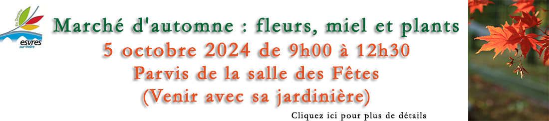 2024 marche automne