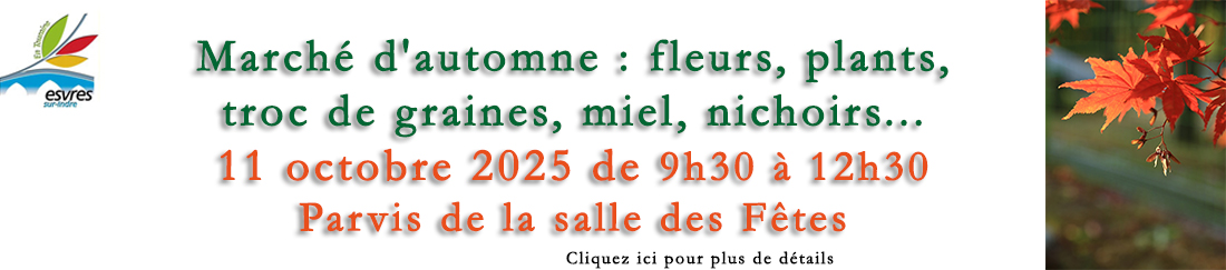 2025 marche automne