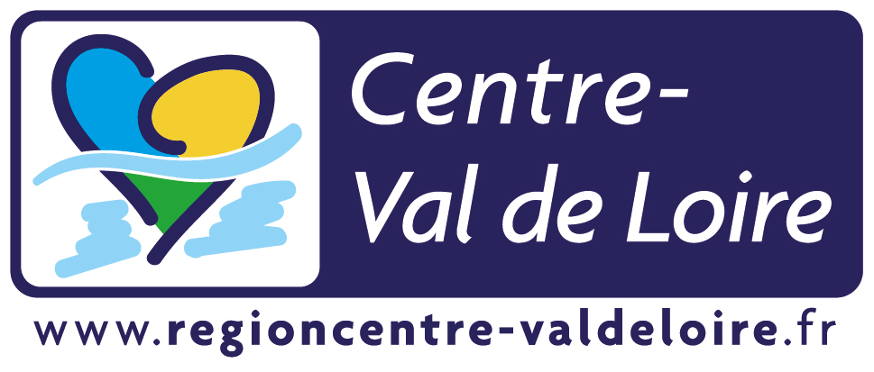 Bloc_marquesite_vecto-_Région_Centre-Val_de_Loire-_2015-01.jpg